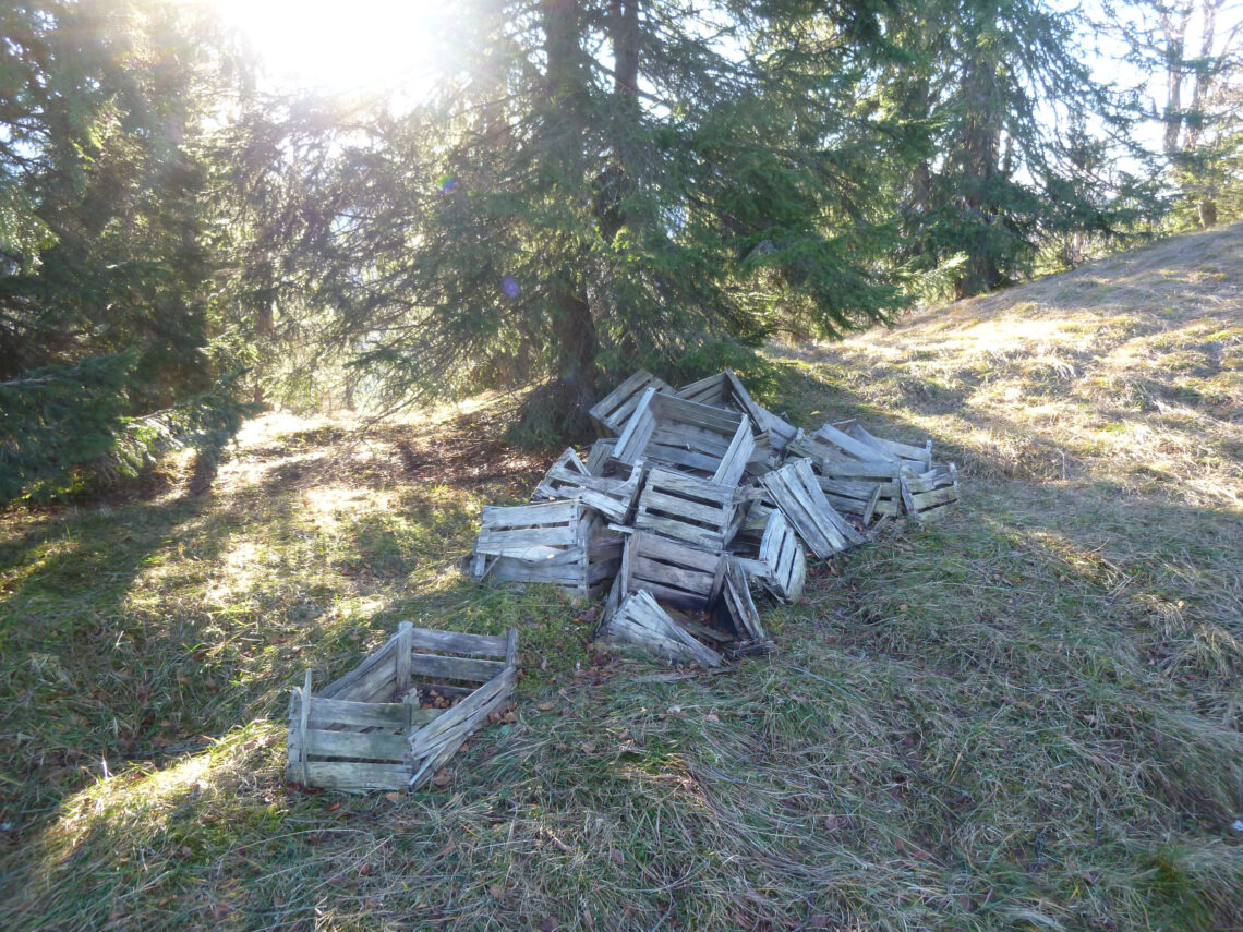 Transportkisten Anpflanzung Lapberg