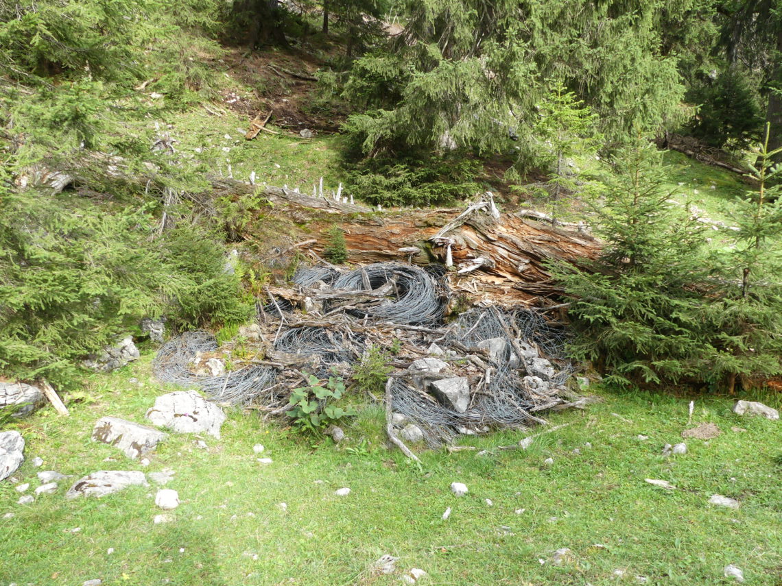 In Mulde entsorgter Maschendraht als Todesfalle für Wildtiere