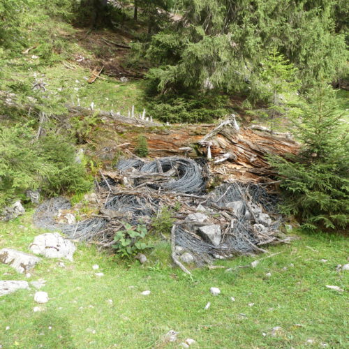 In Mulde entsorgter Maschendraht als Todesfalle für Wildtiere