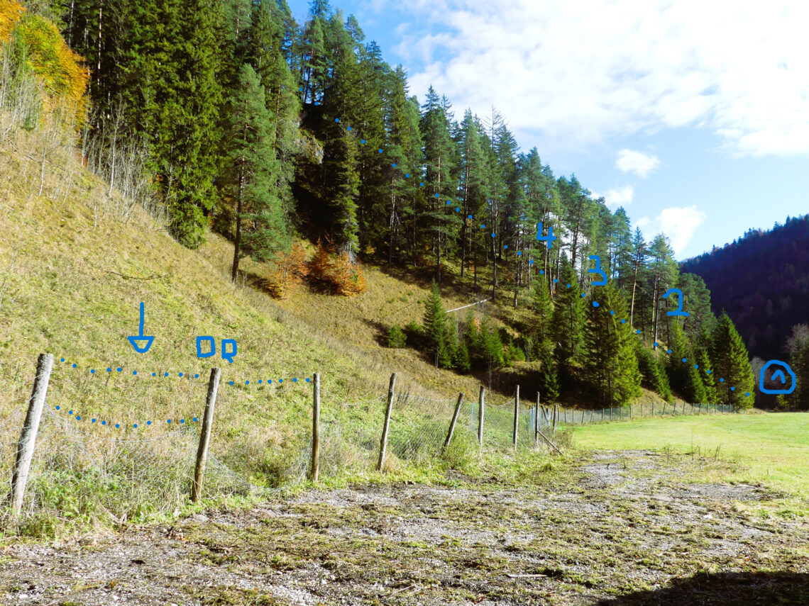 18 Verlauf des beschädigten Wildzauns Kloaschau